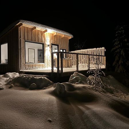 Forest Cabin With Stunning Mountain View & Sauna トーシュビュー エクステリア 写真