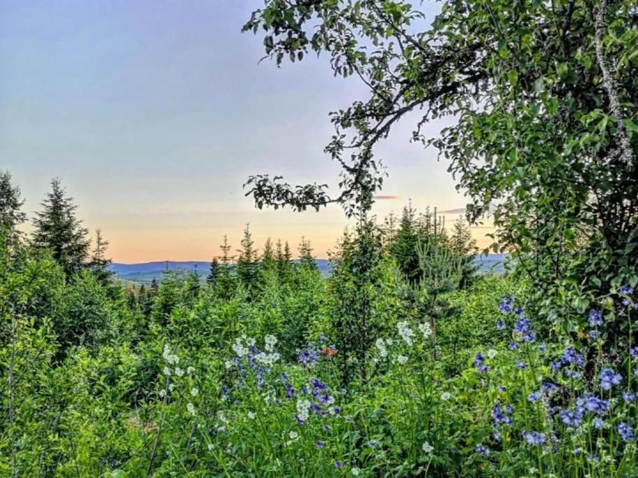 Forest Cabin With Stunning Mountain View & Sauna トーシュビュー エクステリア 写真