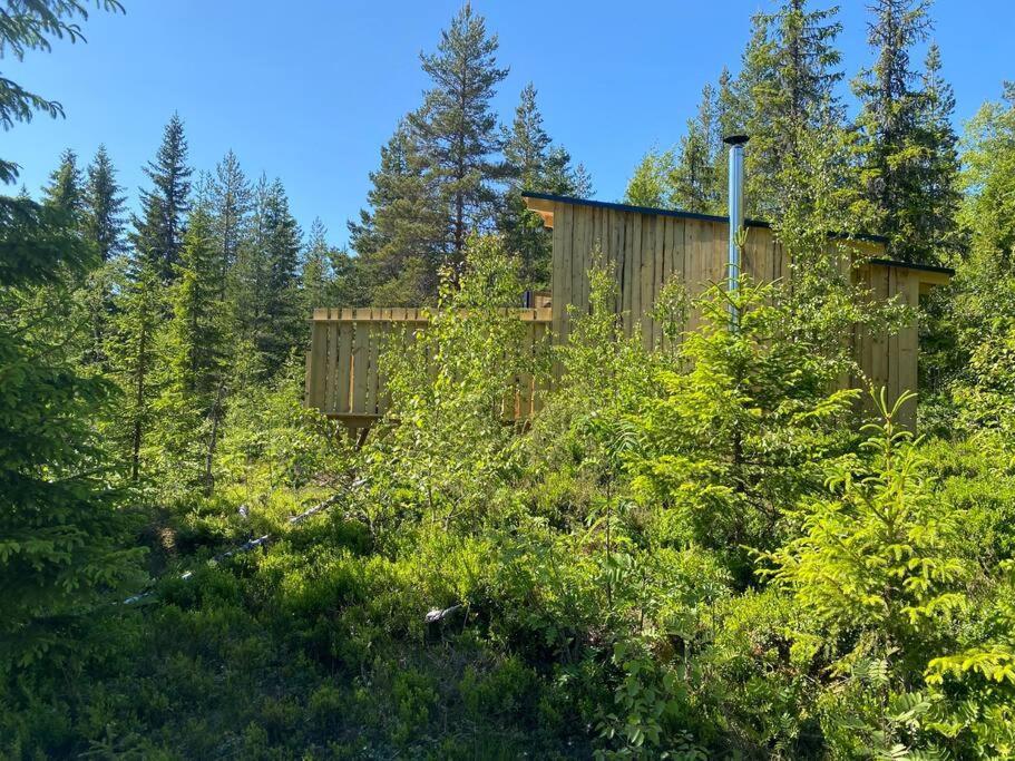 Forest Cabin With Stunning Mountain View & Sauna トーシュビュー エクステリア 写真