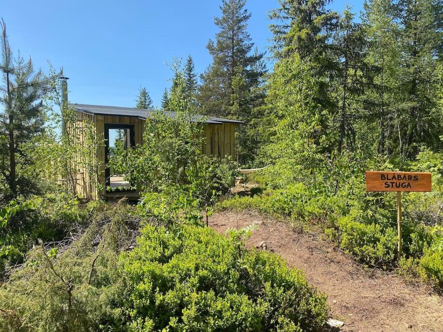 Forest Cabin With Stunning Mountain View & Sauna トーシュビュー エクステリア 写真