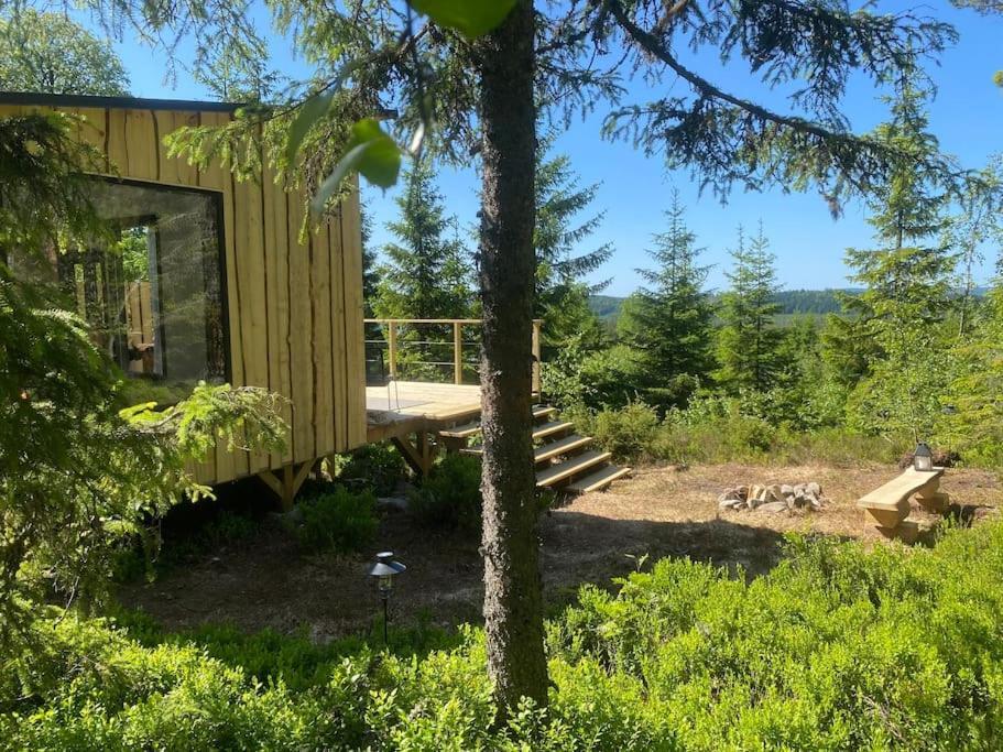 Forest Cabin With Stunning Mountain View & Sauna トーシュビュー エクステリア 写真