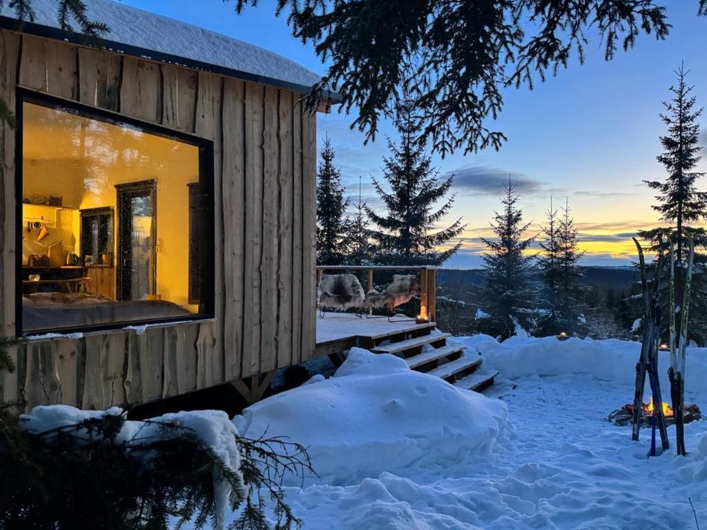 Forest Cabin With Stunning Mountain View & Sauna トーシュビュー エクステリア 写真