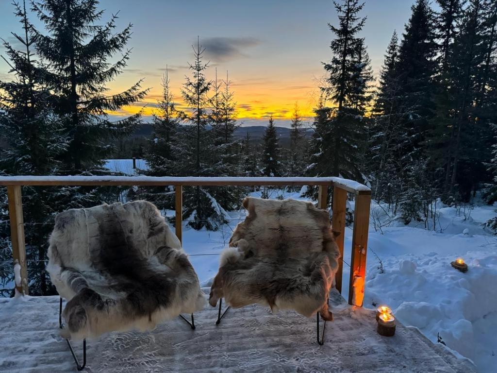 Forest Cabin With Stunning Mountain View & Sauna トーシュビュー エクステリア 写真