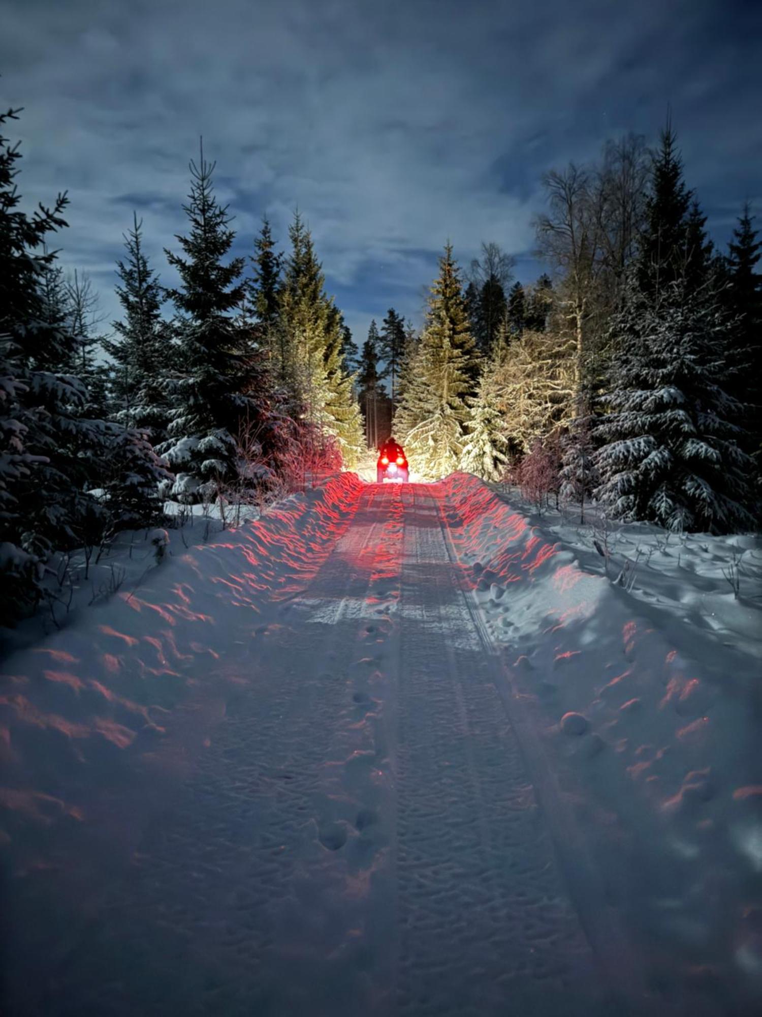 Forest Cabin With Stunning Mountain View & Sauna トーシュビュー エクステリア 写真