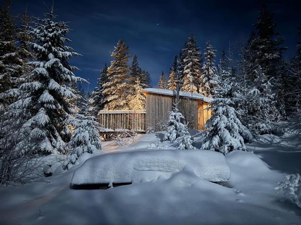 Forest Cabin With Stunning Mountain View & Sauna トーシュビュー エクステリア 写真