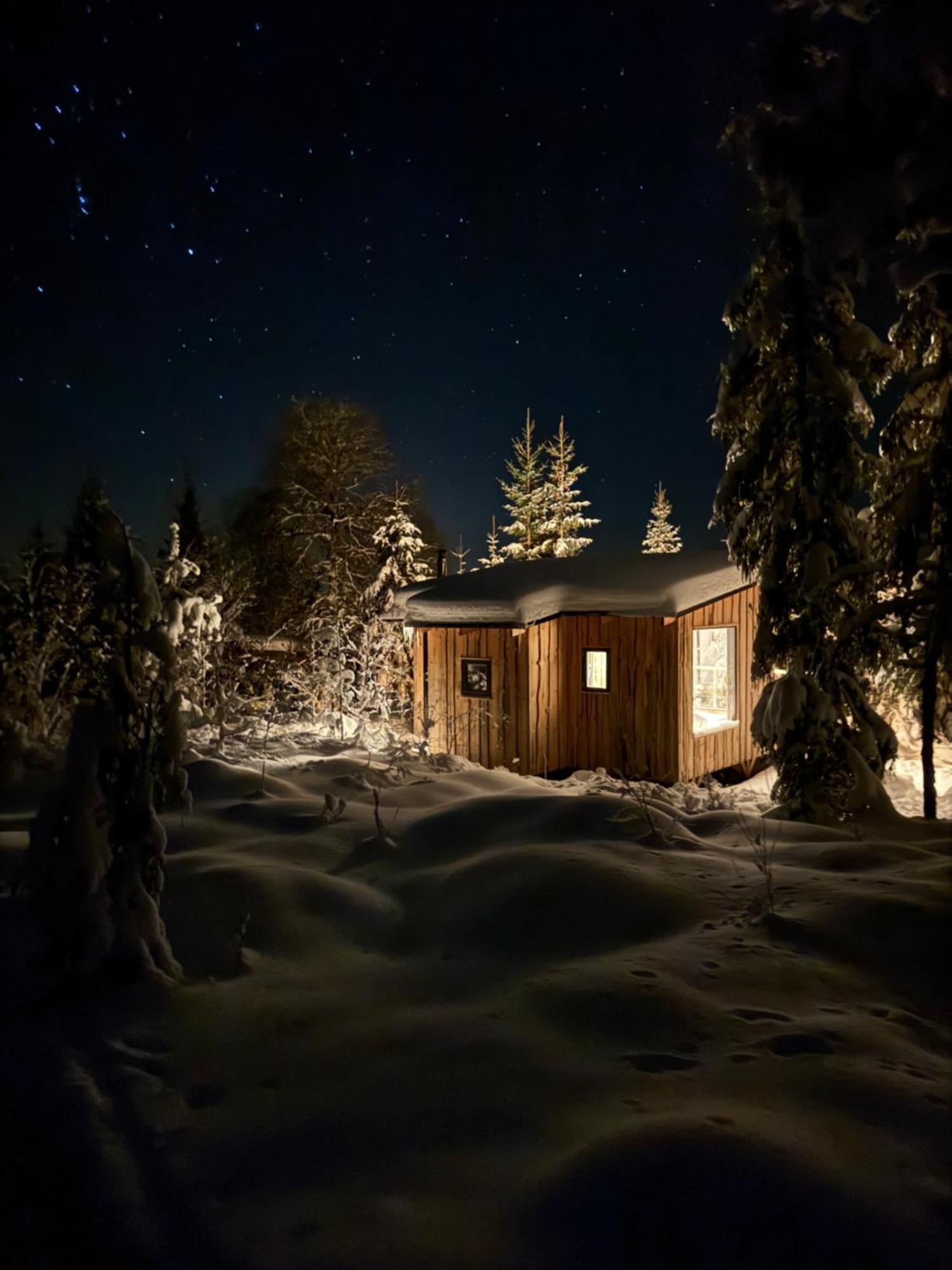 Forest Cabin With Stunning Mountain View & Sauna トーシュビュー エクステリア 写真