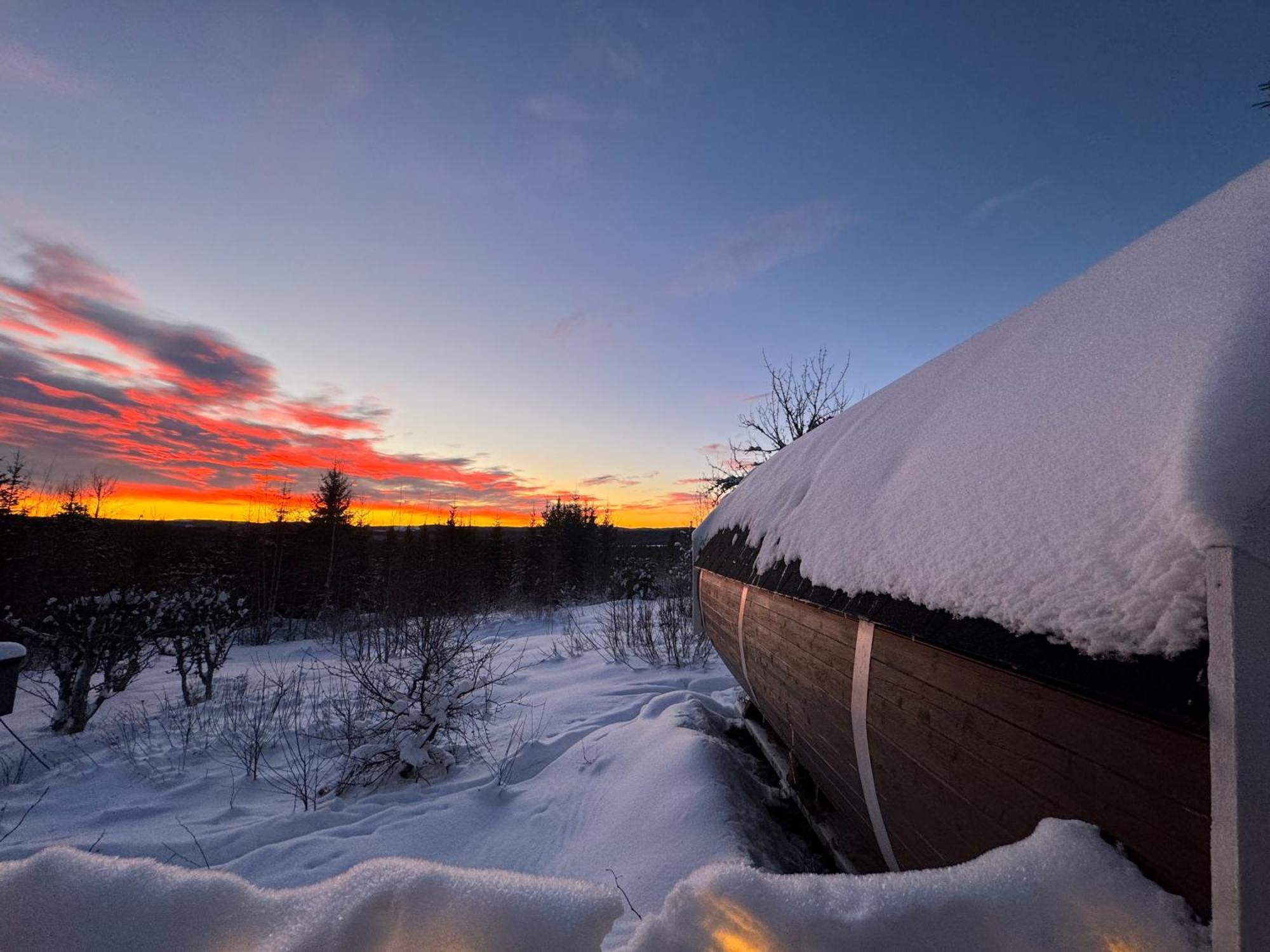 Forest Cabin With Stunning Mountain View & Sauna トーシュビュー エクステリア 写真