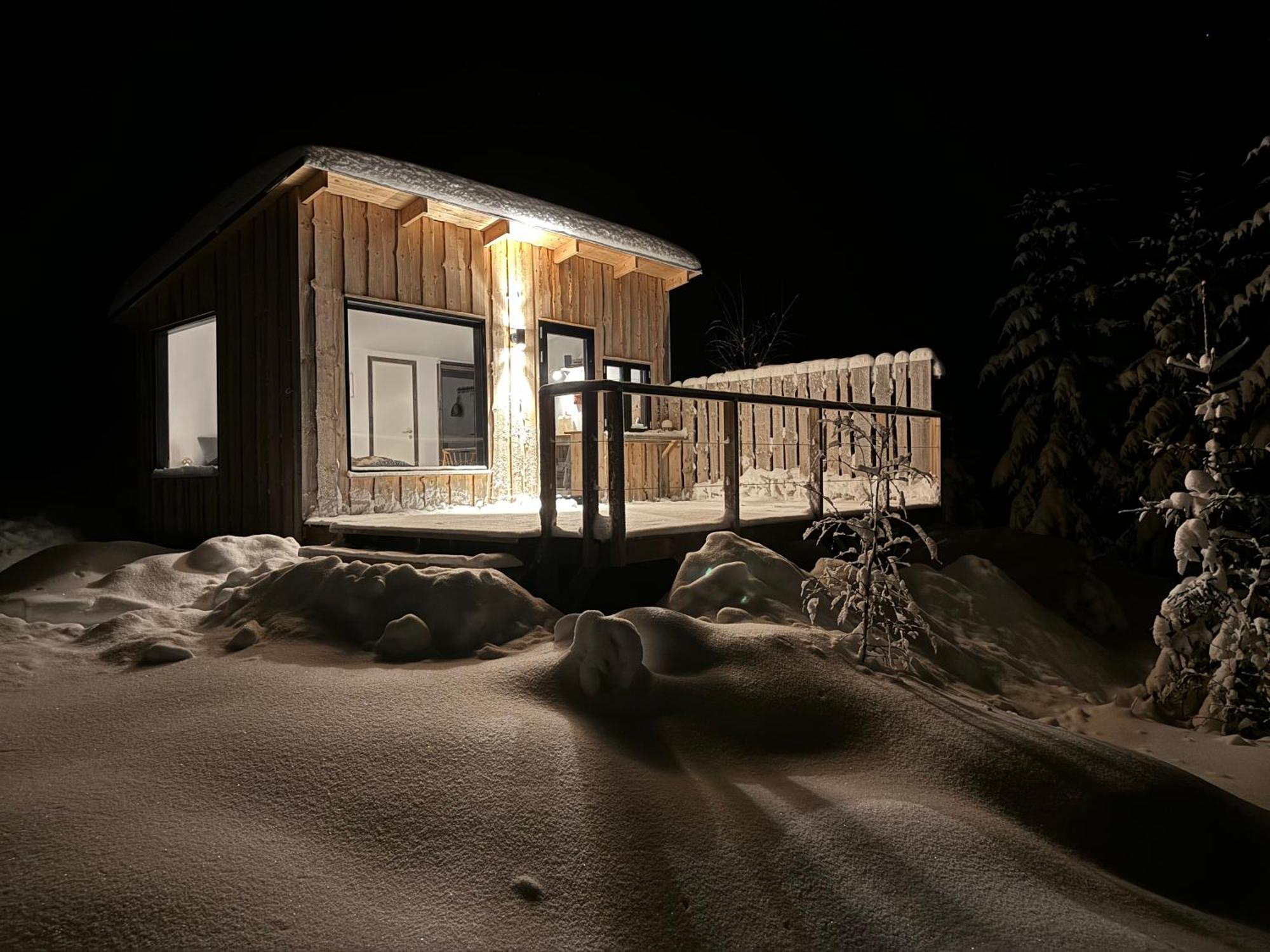 Forest Cabin With Stunning Mountain View & Sauna トーシュビュー エクステリア 写真