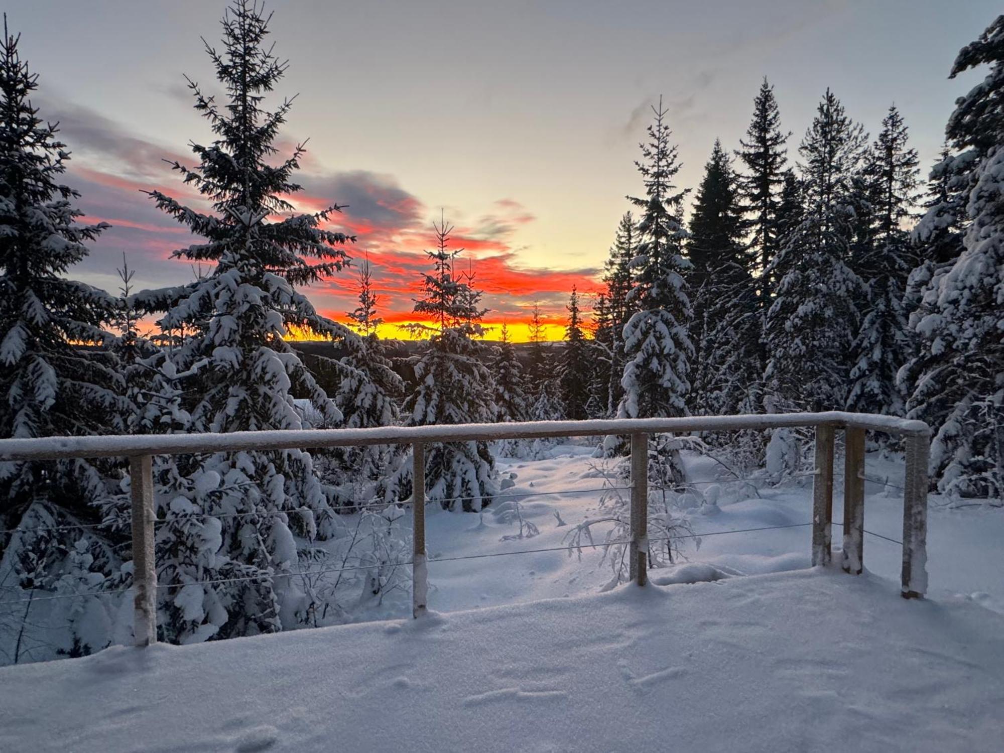 Forest Cabin With Stunning Mountain View & Sauna トーシュビュー エクステリア 写真